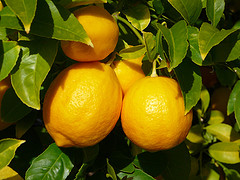 Propiedades del limón para adelgazar